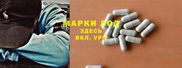 дурь Бородино