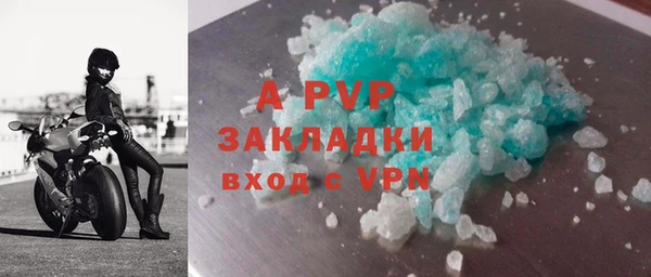 дурь Бородино