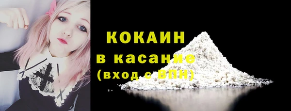 дурь Бородино