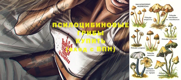 дурь Бородино
