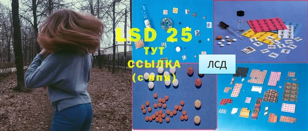 дурь Бородино